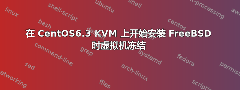 在 CentOS6.3 KVM 上开始安装 FreeBSD 时虚拟机冻结