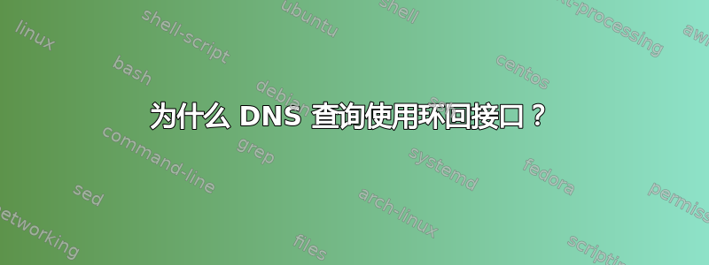 为什么 DNS 查询使用环回接口？