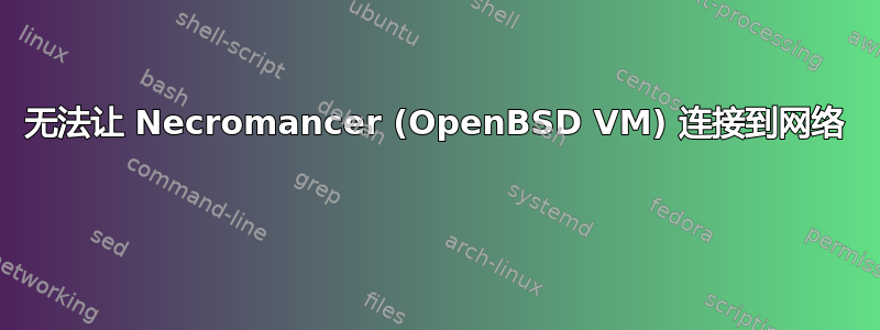 无法让 Necromancer (OpenBSD VM) 连接到网络 