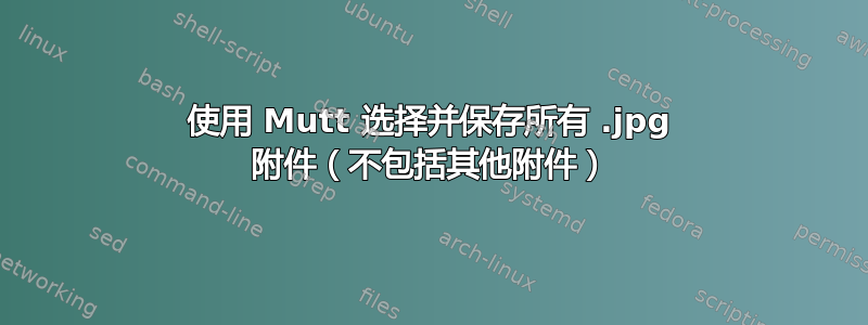 使用 Mutt 选择并保存所有 .jpg 附件（不包括其他附件）