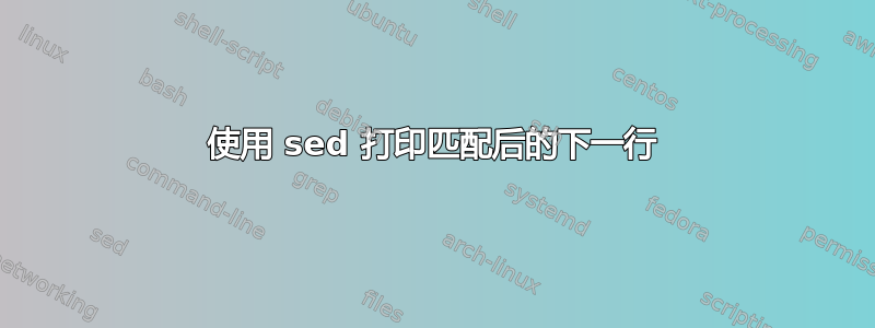 使用 sed 打印匹配后的下一行