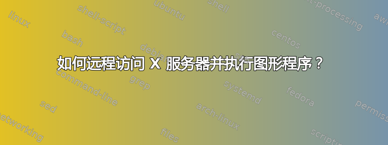 如何远程访问 X 服务器并执行图形程序？