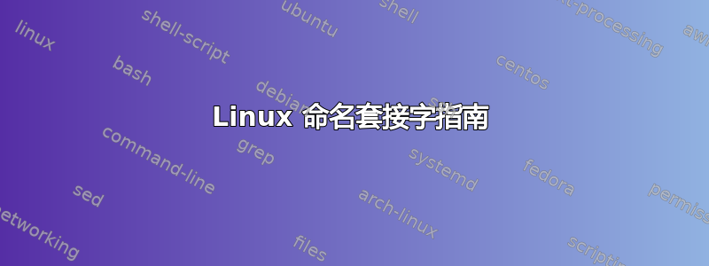 Linux 命名套接字指南