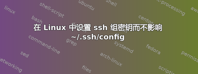 在 Linux 中设置 ssh 组密钥而不影响 ~/.ssh/config