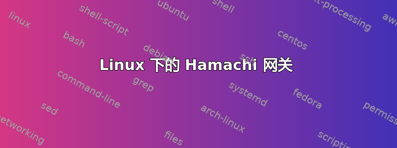 Linux 下的 Hamachi 网关