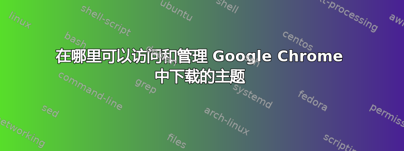 在哪里可以访问和管理 Google Chrome 中下载的主题