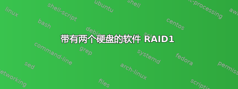 带有两个硬盘的软件 RAID1