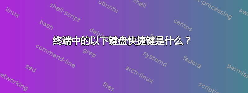 终端中的以下键盘快捷键是什么？