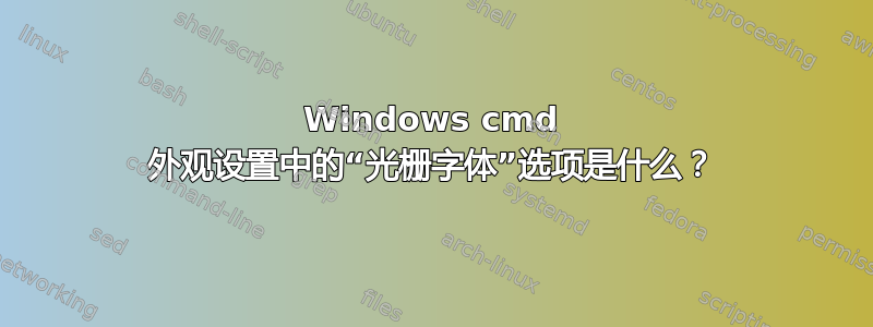 Windows cmd 外观设置中的“光栅字体”选项是什么？