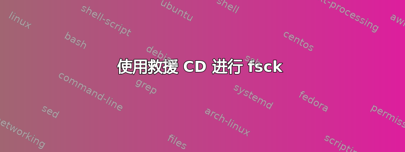 使用救援 CD 进行 fsck