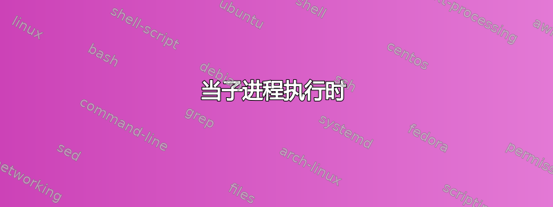 当子进程执行时