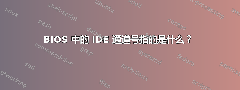 BIOS 中的 IDE 通道号指的是什么？