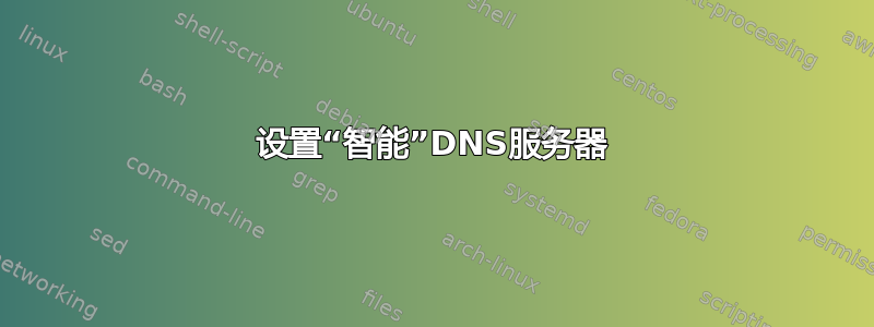 设置“智能”DNS服务器