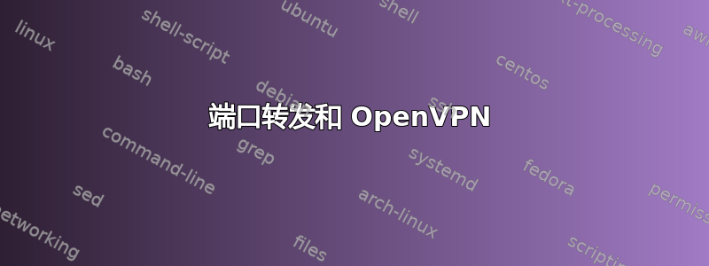 端口转发和 OpenVPN