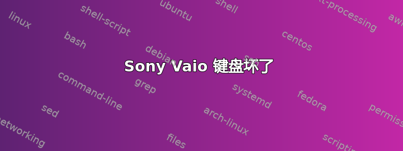 Sony Vaio 键盘坏了