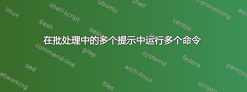 在批处理中的多个提示中运行多个命令