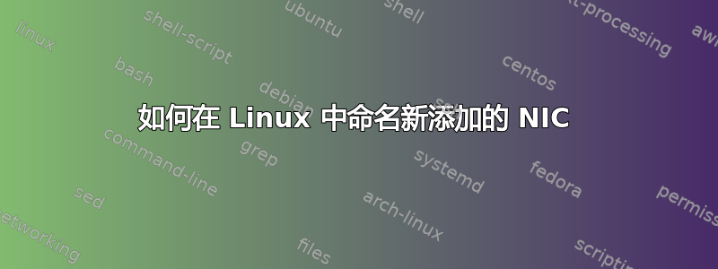 如何在 Linux 中命名新添加的 NIC