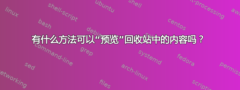 有什么方法可以“预览”回收站中的内容吗？