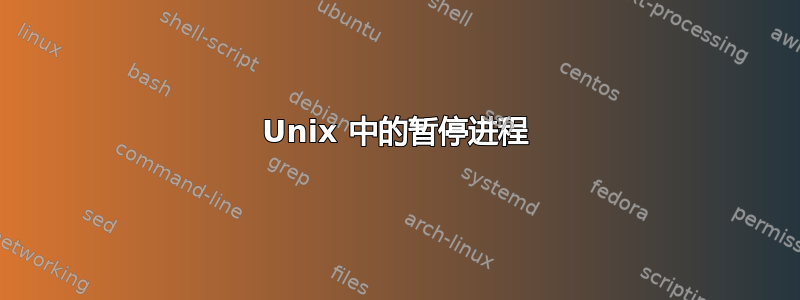 Unix 中的暂停进程