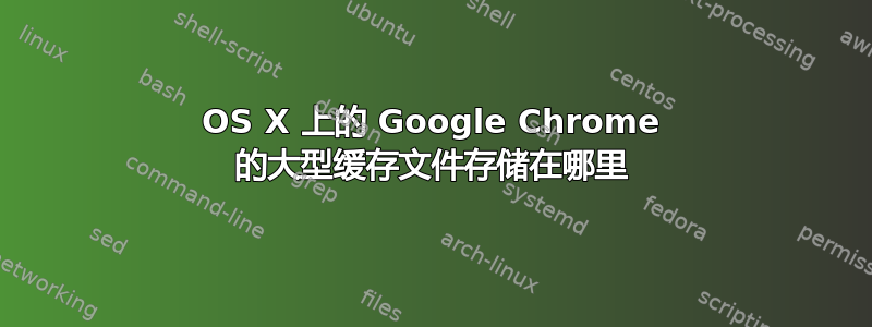 OS X 上的 Google Chrome 的大型缓存文件存储在哪里