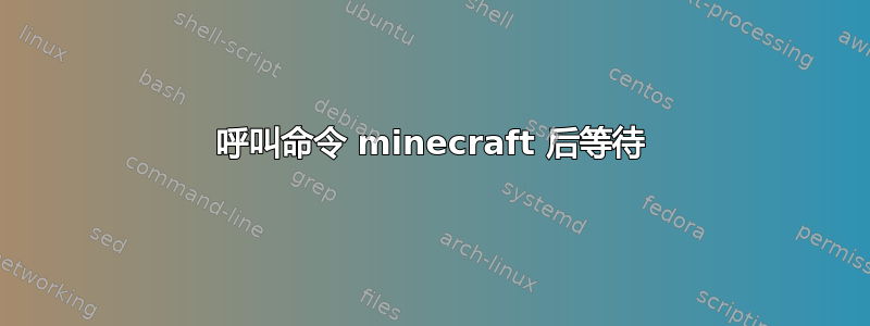 呼叫命令 minecraft 后等待