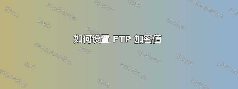 如何设置 FTP 加密值