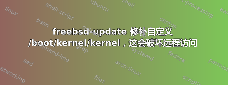 freebsd-update 修补自定义 /boot/kernel/kernel，这会破坏远程访问