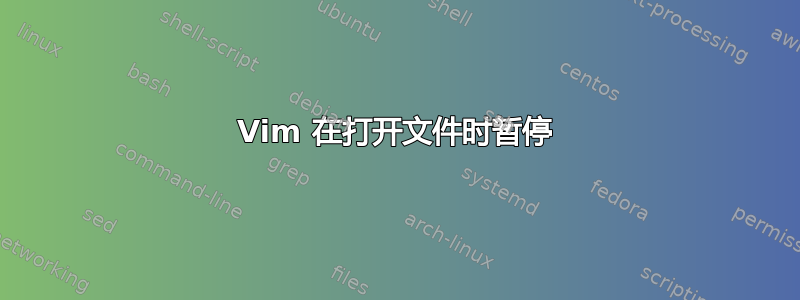 Vim 在打开文件时暂停