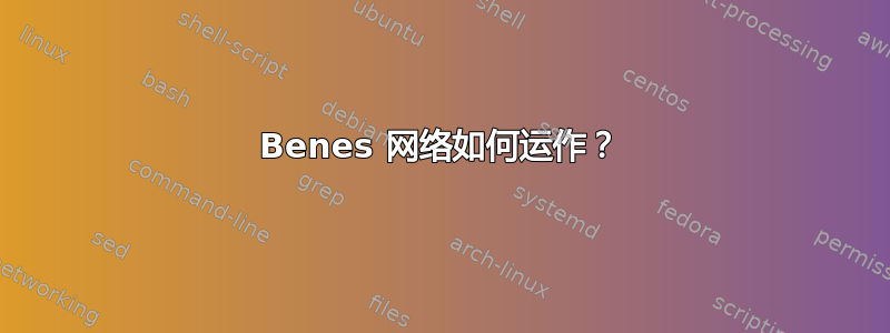 Benes 网络如何运作？