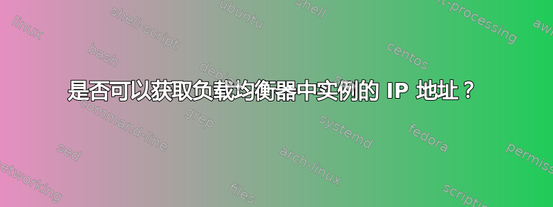 是否可以获取负载均衡器中实例的 IP 地址？