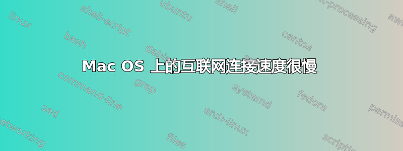 Mac OS 上的互联网连接速度很慢