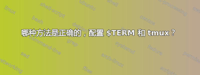 哪种方法是正确的，配置 $TERM 和 tmux？