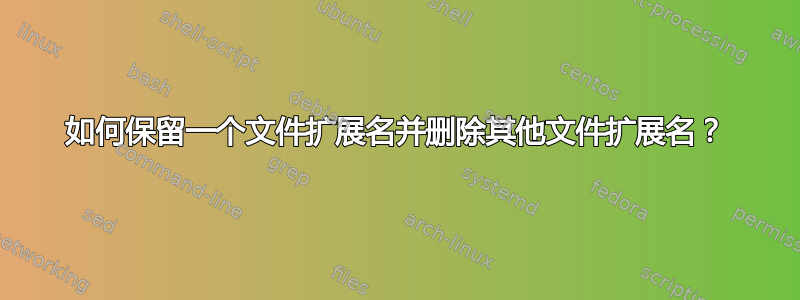 如何保留一个文件扩展名并删除其他文件扩展名？