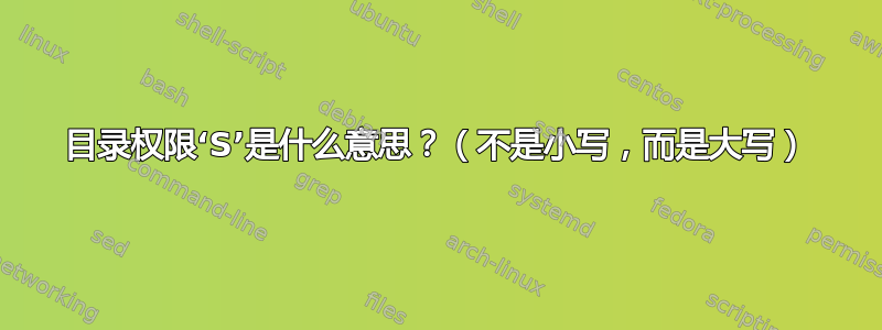 目录权限‘S’是什么意思？（不是小写，而是大写）