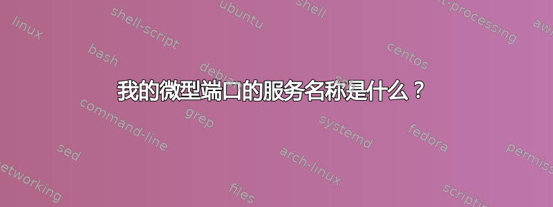 我的微型端口的服务名称是什么？