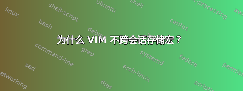 为什么 VIM 不跨会话存储宏？