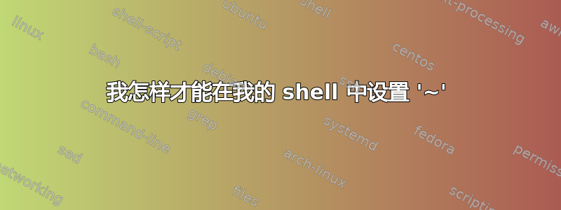 我怎样才能在我的 shell 中设置 '~'