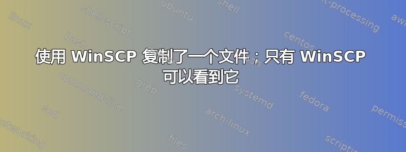 使用 WinSCP 复制了一个文件；只有 WinSCP 可以看到它