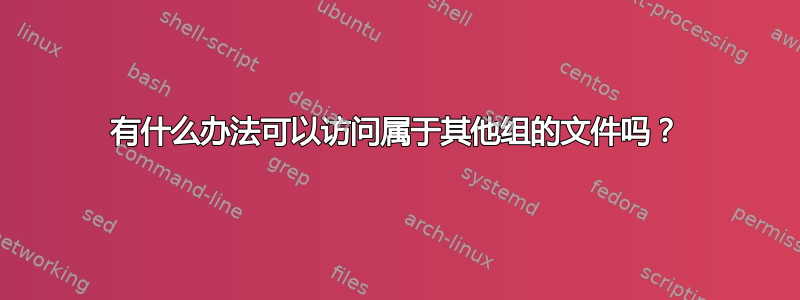 有什么办法可以访问属于其他组的文件吗？