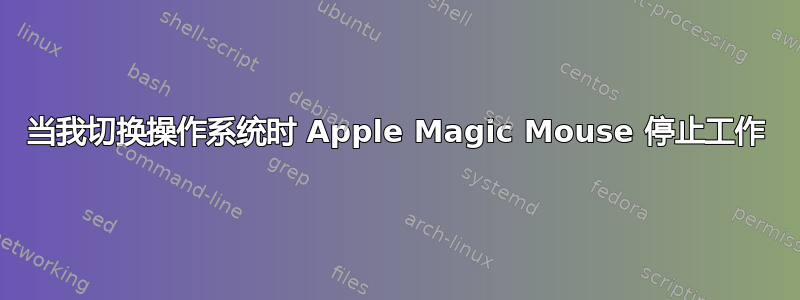 当我切换操作系统时 Apple Magic Mouse 停止工作