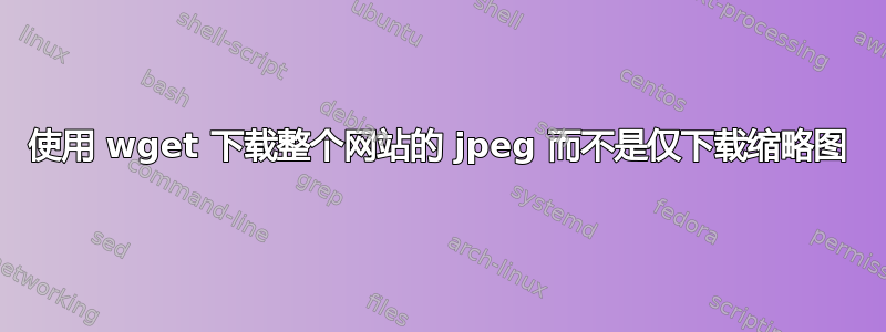 使用 wget 下载整个网站的 jpeg 而不是仅下载缩略图