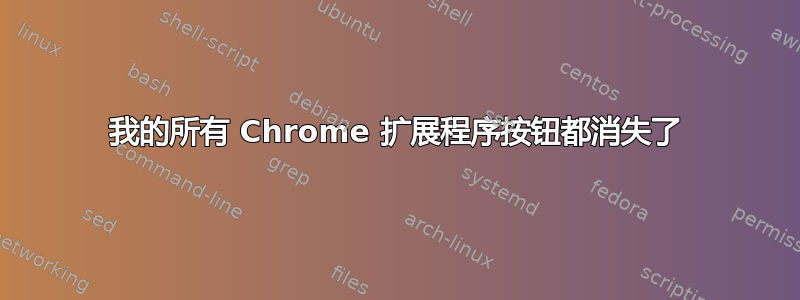 我的所有 Chrome 扩展程序按钮都消失了