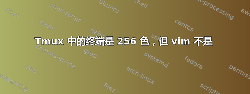 Tmux 中的终端是 256 色，但 vim 不是