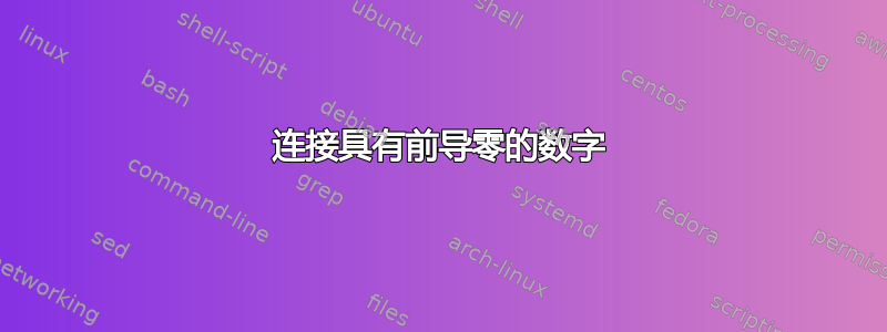 连接具有前导零的数字