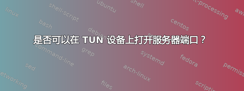 是否可以在 TUN 设备上打开服务器端口？