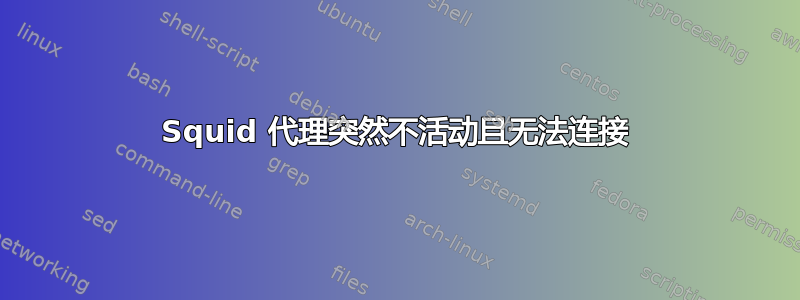 Squid 代理突然不活动且无法连接