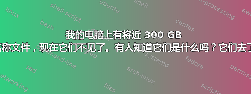 我的电脑上有将近 300 GB 的随机名称文件，现在它们不见了。有人知道它们是什么吗？它们去了哪里？