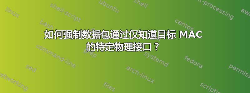 如何强制数据包通过仅知道目标 MAC 的特定物理接口？