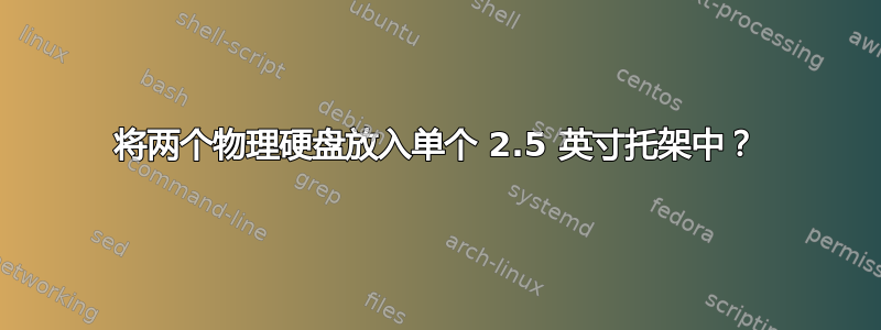 将两个物理硬盘放入单个 2.5 英寸托架中？