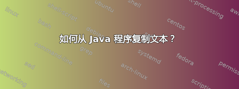 如何从 Java 程序复制文本？